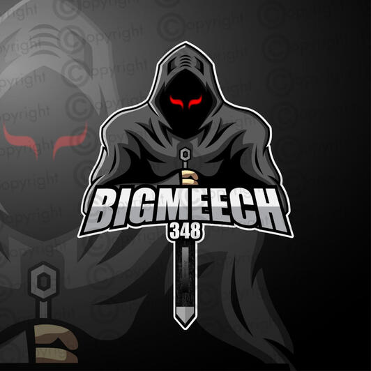 Custom Logo
